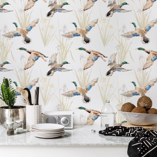 Cute duck wallpaper can bring a sense of charm, playfulness, and whimsy to your space. Whether you're looking to create a nursery,