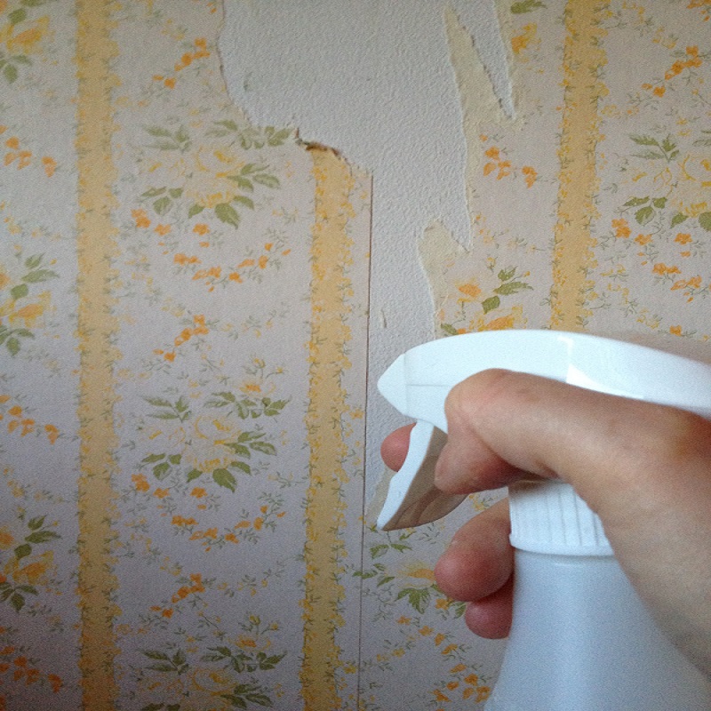 Wallpaper removal