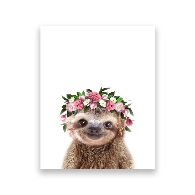 Cute sloth